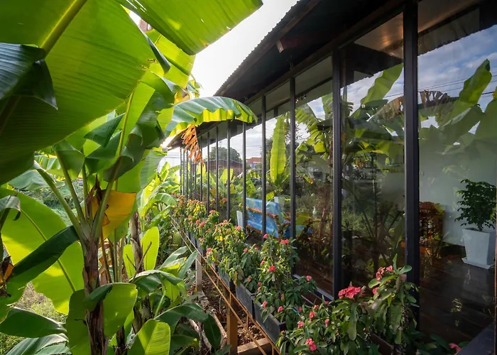 Pomelo Travel Outpost Cambodia ដំណាក់ភ្នំក្រោម Pensjonat Siem Reap